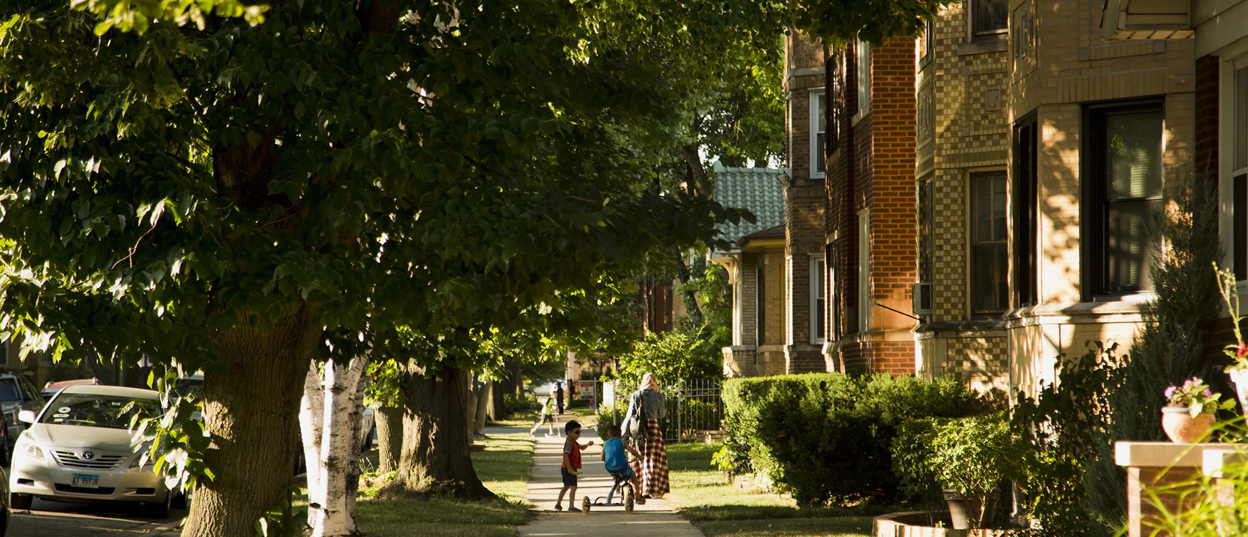 Arcadia Terrace Chicago Apartments For Rent Domu